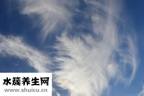 什么书值得看