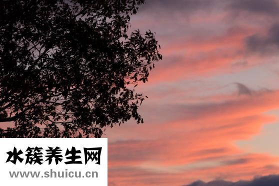 脸上有痘印怎么办