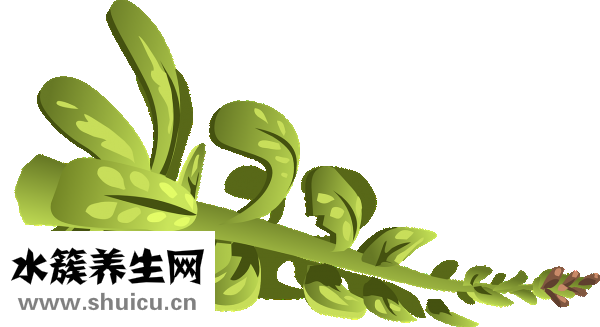 三高是什么