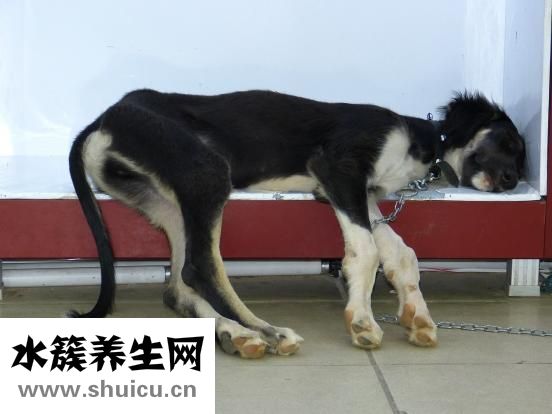 儿童鼻塞怎么办