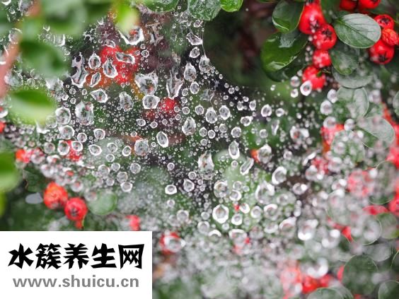 急性肠炎怎么办