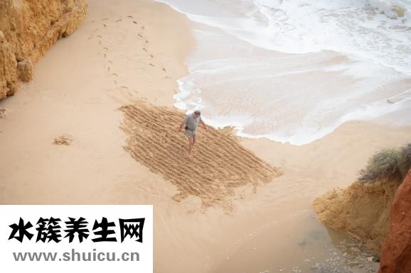 什么减肥效果好