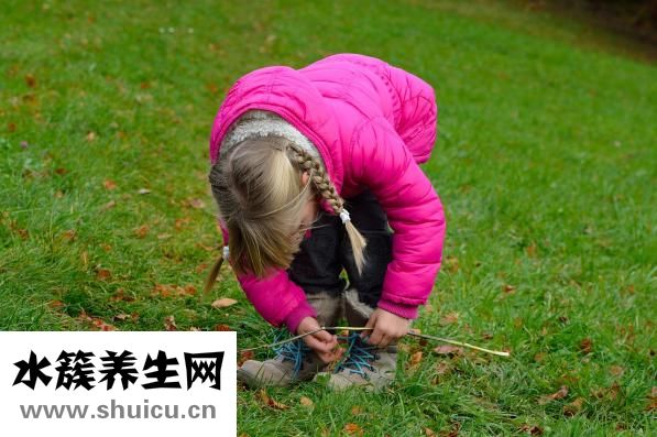 什么羊奶粉好