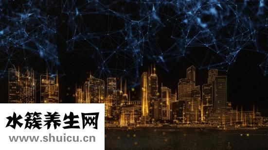 人有多少块肌肉