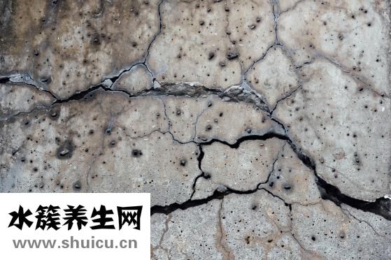 什么是蜱虫