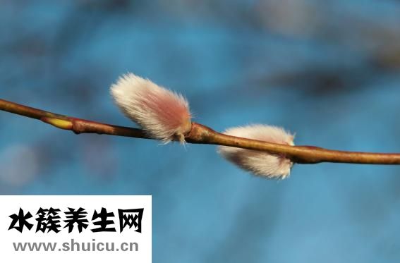 人为什么会害怕