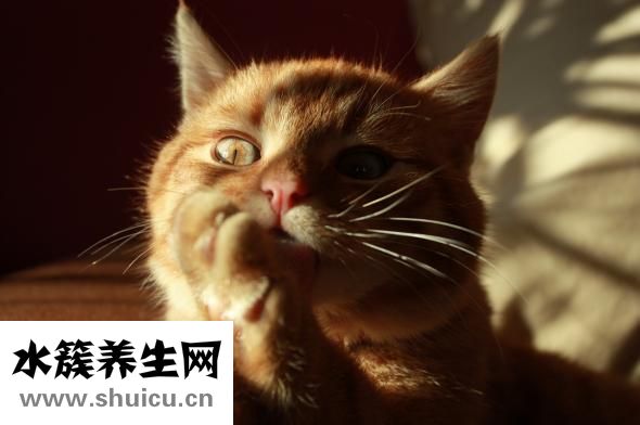 什么是美瞳