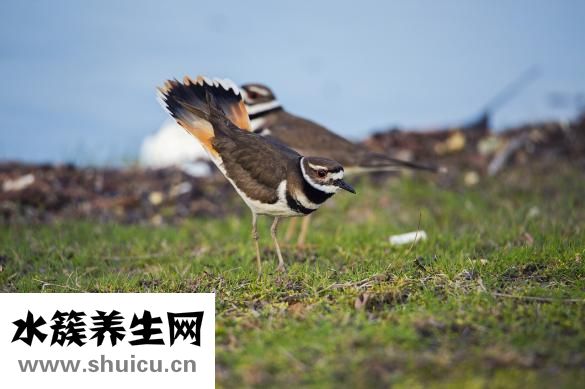 什么情况下容易怀孕