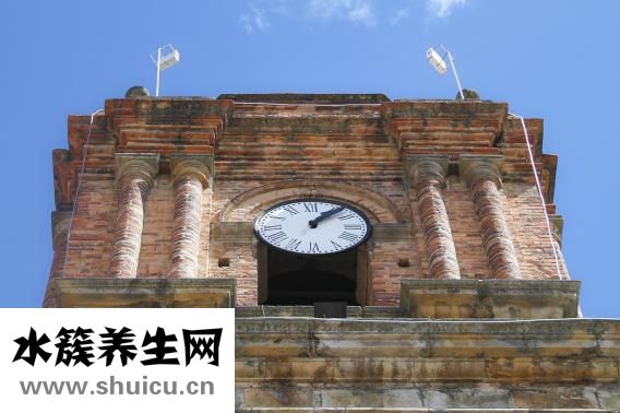 八马茶业怎么样