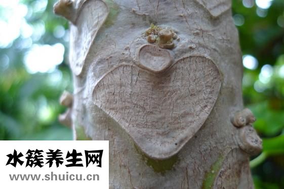 什么是心律不齐