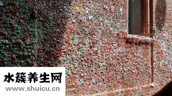 如何灭蚂蚁