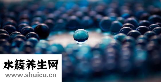 什么是占中