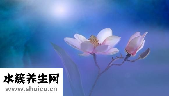 什么的喜讯