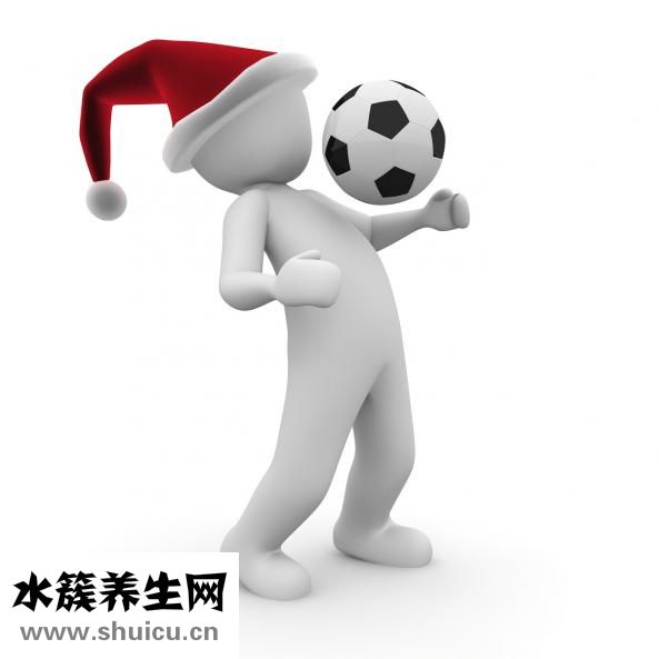 春节有哪些习俗