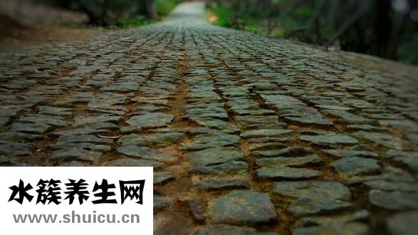 儿童抽动症挂什么科