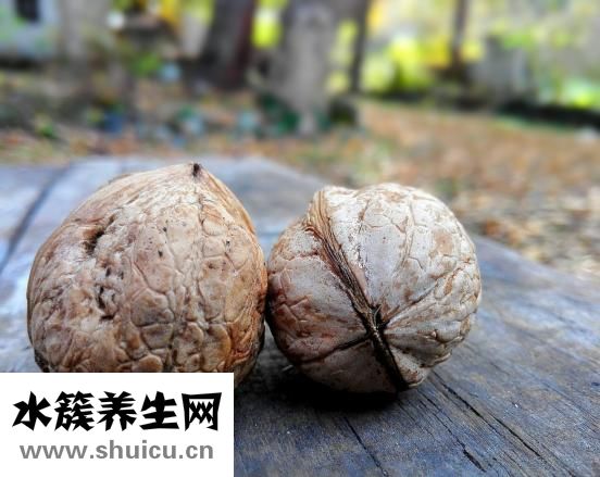 补脑的食物有哪些