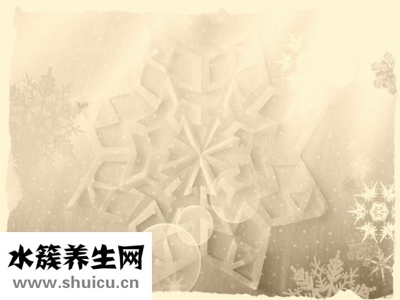 怎么样快速瘦身