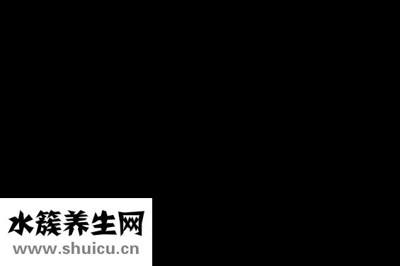 塑身衣怎么穿