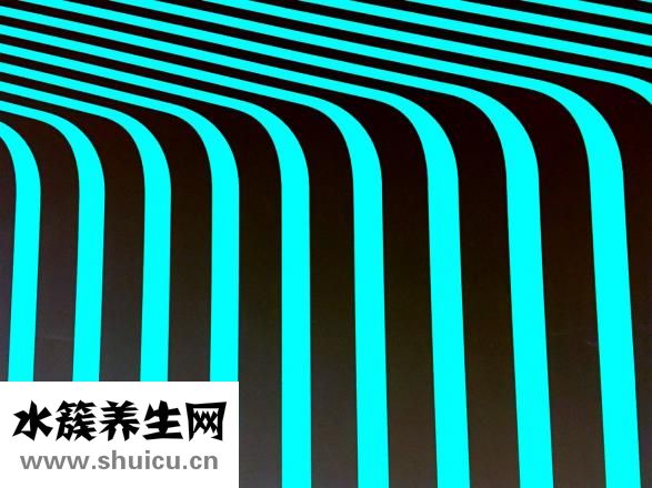 什么脸型适合刘海