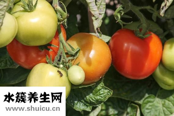 有什么方法可以祛斑（怎么祛斑效果最快最好的方法）