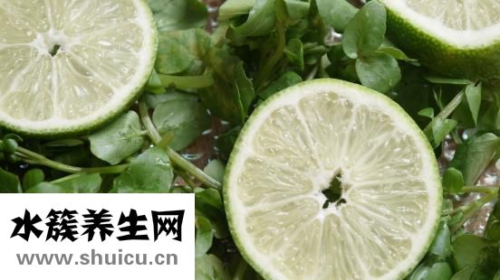 什么祛斑好