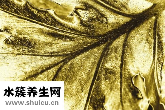 如何快速去痘