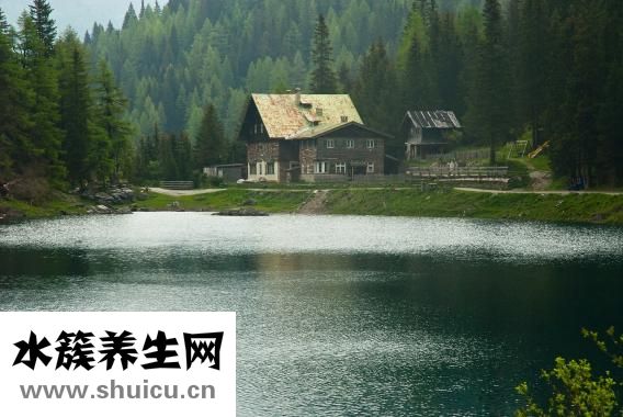 冬笋是什么