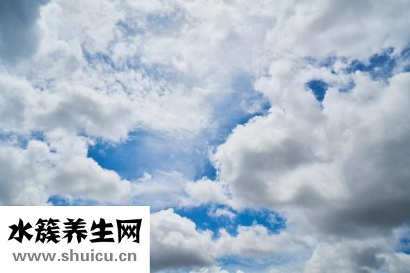 什么食物降火