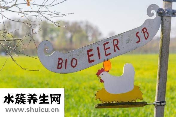 什么是标准差