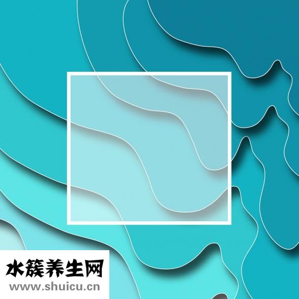 夏天脸上痒怎么办