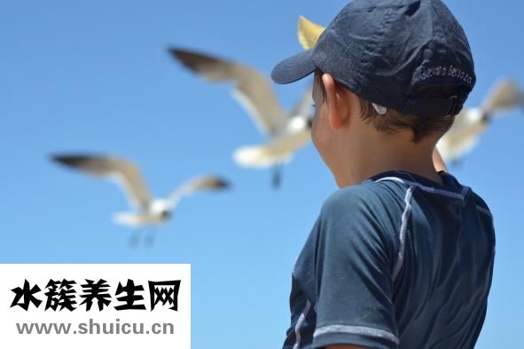 三个羊是什么字