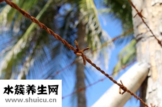 什么是公主病
