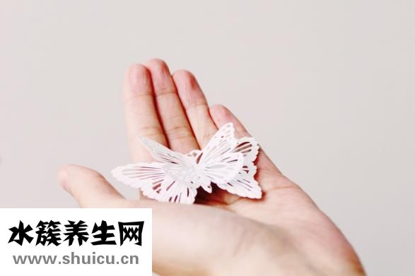 什么是清宫