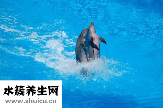 体育运动有哪些