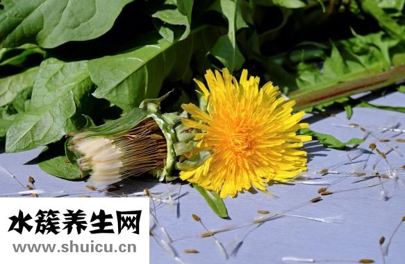 癫痫不能吃什么