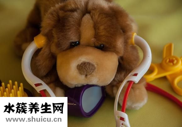 八角是什么