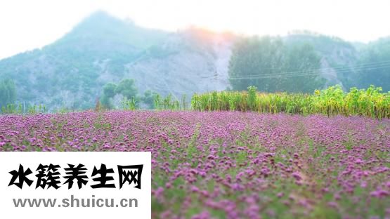 痘印如何去除