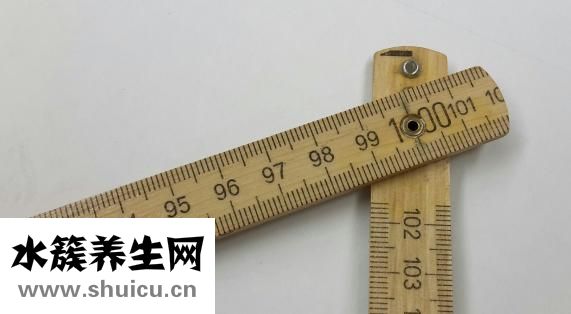 什么是标准差