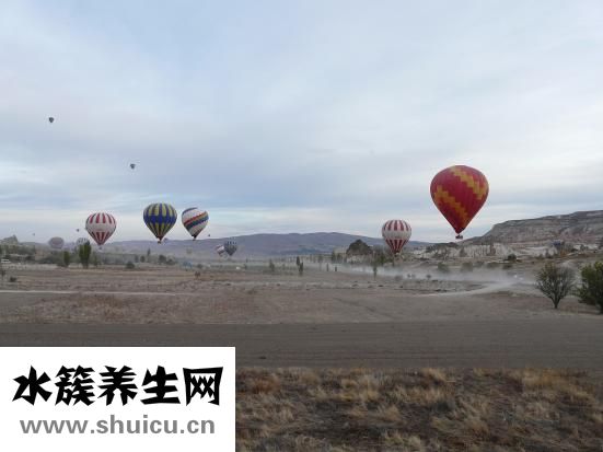 跟腱是什么