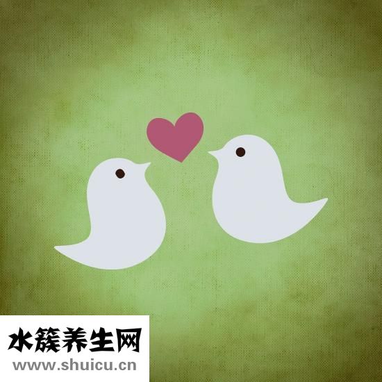 什么是封闭抗体