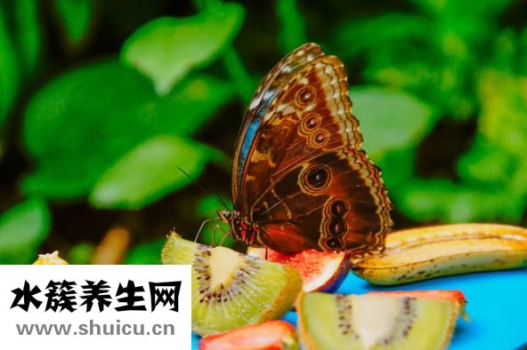 怎么快速去除皱纹