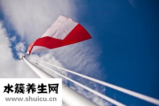 如何治疗牙龈炎