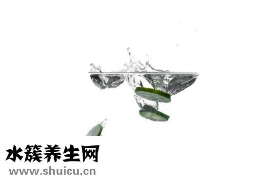 吃什么润肺