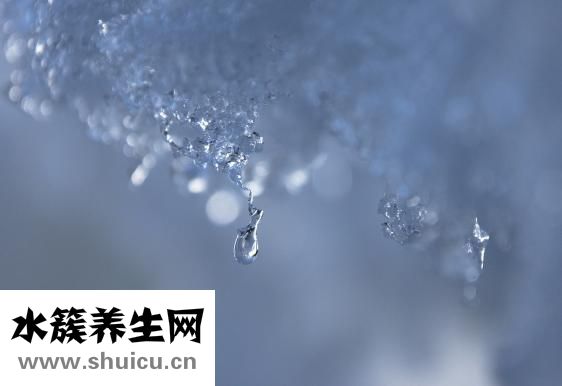 夏天煲什么汤好
