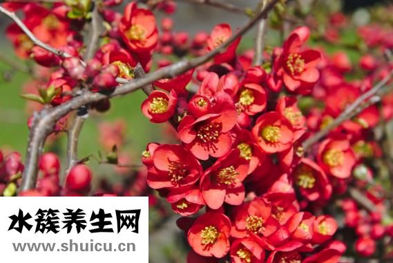 如何解决问题