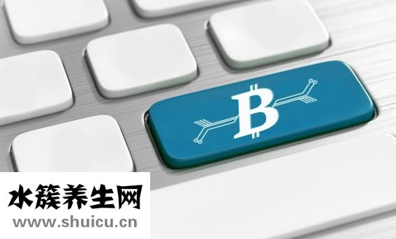 五脏六腑是什么