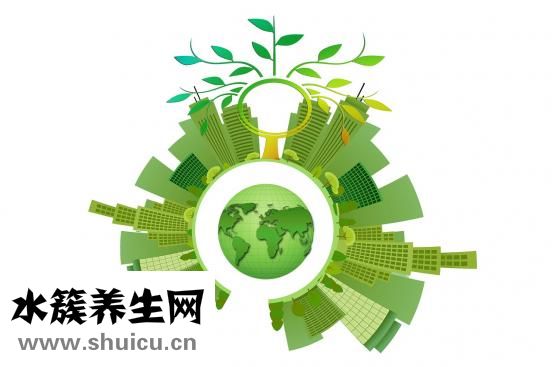 偏头痛是什么原因