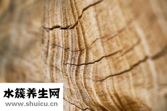 假体隆鼻材料有哪些