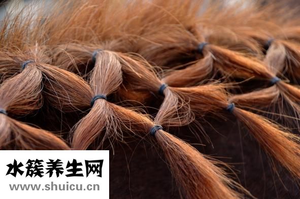 有什么好看的发型