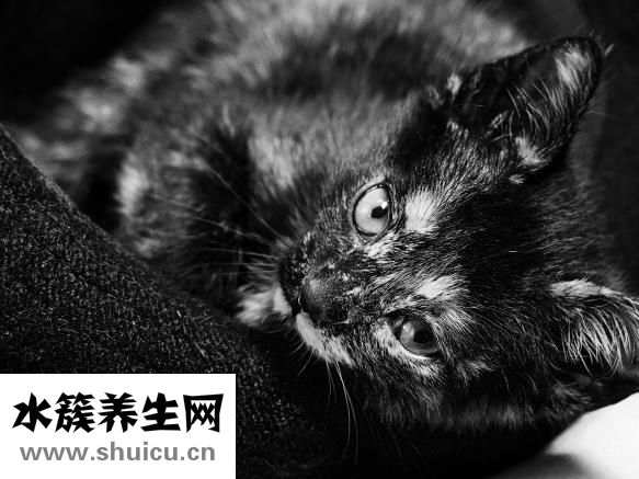 眼部细纹怎么去